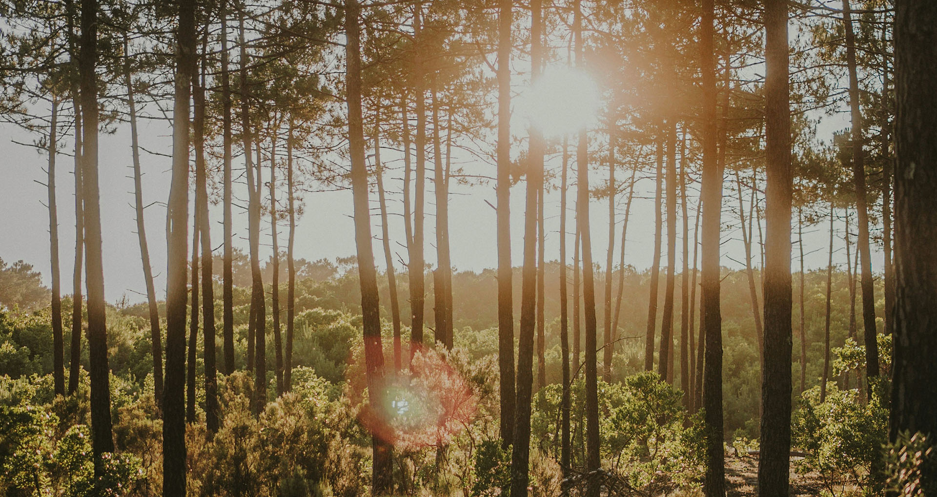 camping a lacanau gironde