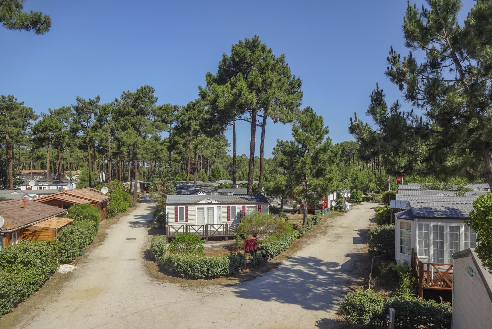 camping accueil bienveillant lacanau